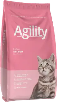 Agility Kitten
