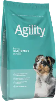 Agility Perro Cachorro