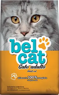 Belcat Gato Adulto