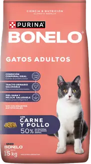 Bonelo Gato Adulto
