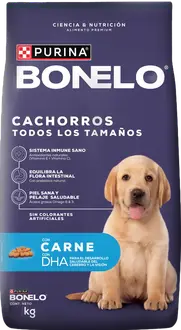 Bonelo Perro Cachorro