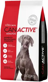 Can Active Perro Adulto Mordida Grande
