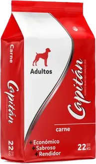 Capitán Perro Adulto