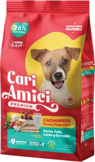 Cari Amici Perro Cachorro de Raza Pequeña