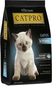 Catpro Kitten