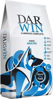 Dar Win Perro Adulto