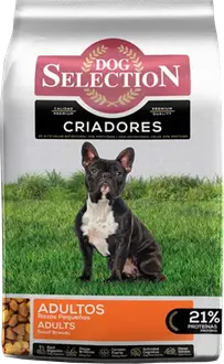 Dog Selection Criadores Adulto Raza Pequeña