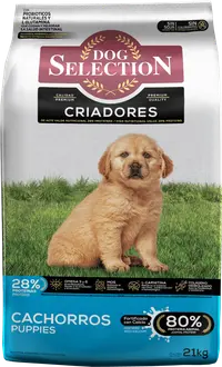 Dog Selection Criadores Cachorros