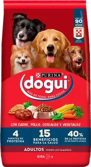 Dogui Perro Adulto
