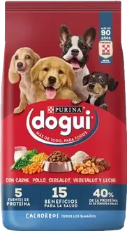 Dogui Perro Cachorro