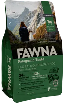 Fawna Cachorro Mordida Pequeña