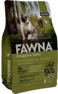 Fawna Gatito