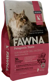 Fawna Gato Esterilizado