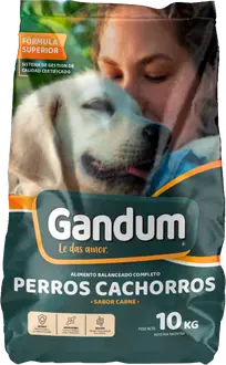 Gandum Perro Cachorro