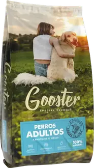 Gooster Perro Adulto