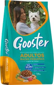 Gooster Prros Adultos de Razas Pequeñas
