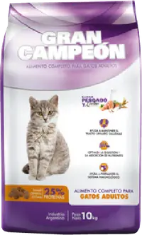 Gran Campeón Gato Adulto