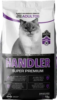 Handler Gato Adulto