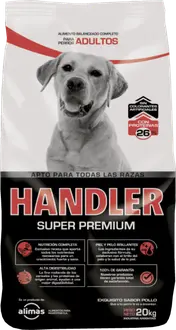 Handler Perro Adulto Mediano y Grande