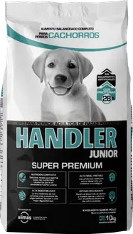 Handler Perro Cachorro