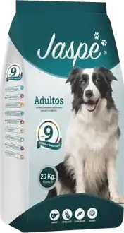 Jaspe Perro Adulto