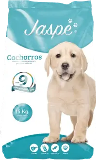 Jaspe Perro Cachorro