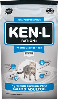 Ken-l Gato Adulto