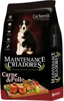 Maintenance Criadores Perro Cachorro