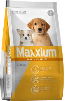 Maxxium Perro Cachorro