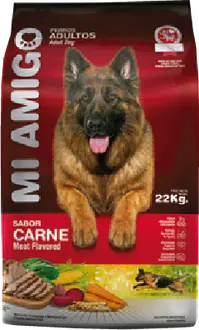 Mi Amigo Perro Adulto