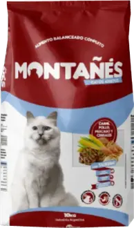 Montañés Gato Adulto