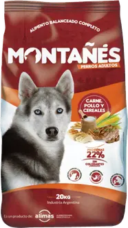 Montañés Perro Adulto Mordida Grande