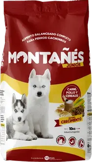 Montañés Perro Cachorro