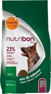 Nutribon Plus Perro Adulto Criadores