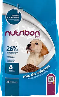 Nutribon Plus Perro Cachorro