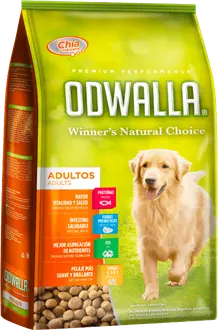 Odwalla Perro Adulto