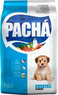Pachá Perro Cachorro