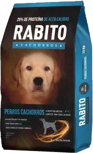 Rabito Perro Cachorro