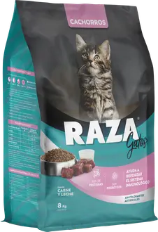 Raza Gatitos