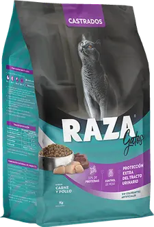 Raza Gato Castrado