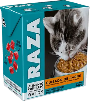 Raza Guisado Gato Adulto Carne