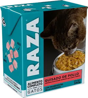 Raza Guisado Gato Adulto Pollo
