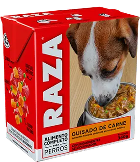 Raza Perro Adulto Guisado de Carne