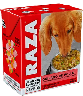 Raza Perro Adulto Guisado de Pollo