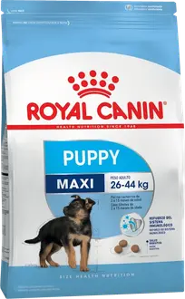 Royal Canin Perro Maxi Puppy