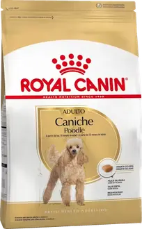 Royal Canin Perro Raza Caniche Adulto