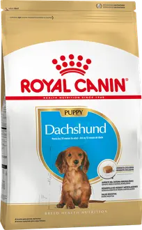 Royal Canin Perro Raza Dachshund Puppy