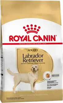 Royal Canin Perro Raza Labrador Retriever Adulto