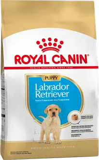 Royal Canin Perro Raza Labrador Retriever Puppy