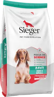 Sieger Perro Adulto Raza Pequeña